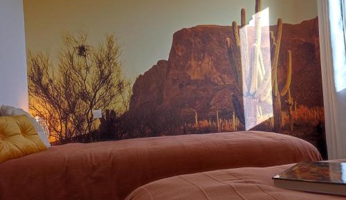 Double or Twin Room with Garden View