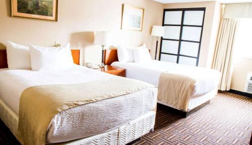 Queen Room with Two Queen Beds