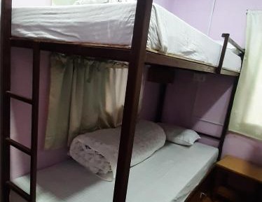 Bunk Bed in Female Dormitory Room  