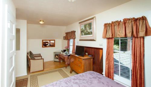 Standard Queen Room - Not Pet Friendly