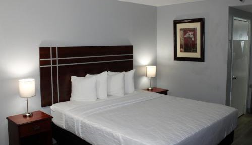 Two Room King Suite
