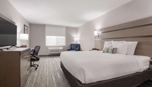 King Room