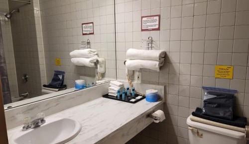 Queen Room - Non Pet Friendly