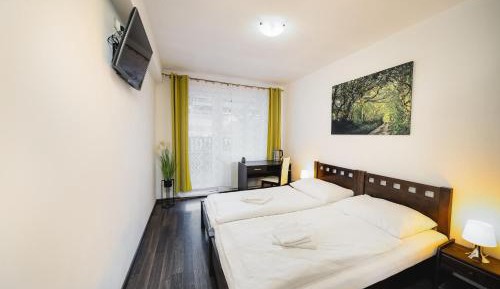 Double Room with Terrace