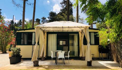 Classic Mobile Home