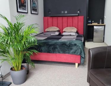 Standard King Room
