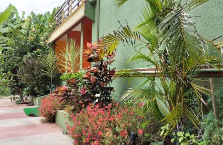 Deluxe Double or Twin Room with Garden View