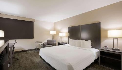 King Room with Roll-In Shower - Mobility Access