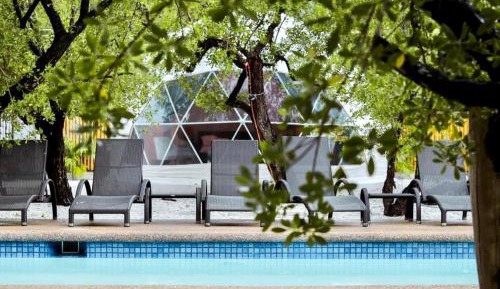 King Room with Pool View