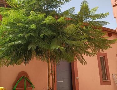 Holiday Home