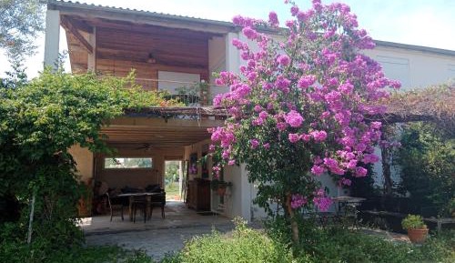 Three-Bedroom House with Garden