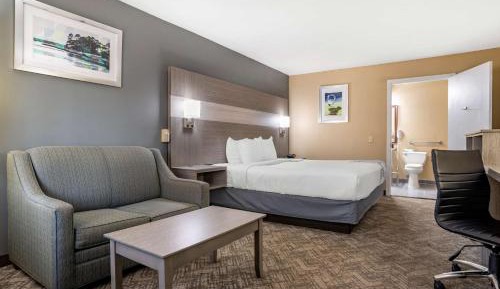 King Room