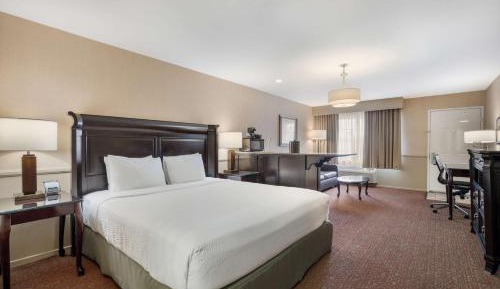 King Suite with Sofa Bed - Non-Smoking