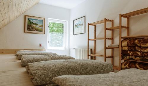 Mixed Dormitory Room