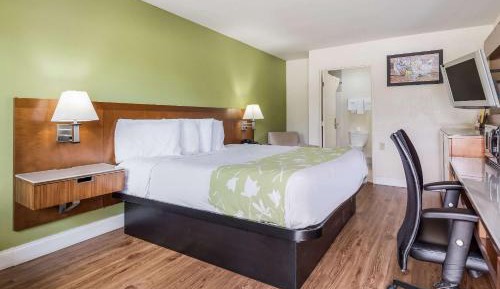 Non-Smoking Handicap Accessible King Room