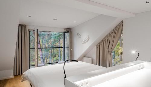 King Studio with Sofa Bed