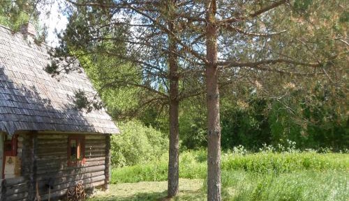 Two-Bedroom Chalet