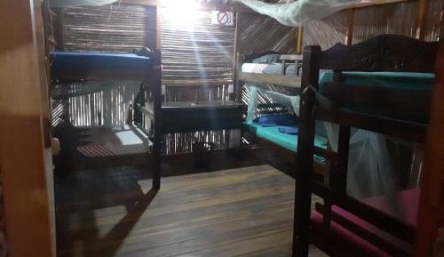 Single Bed in 6-Bed Dormitory Room