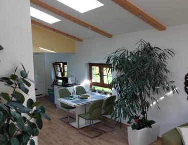 Apartment with Garden View