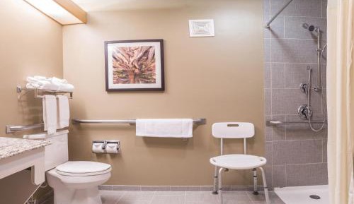 Deluxe Queen room with Roll-In Shower