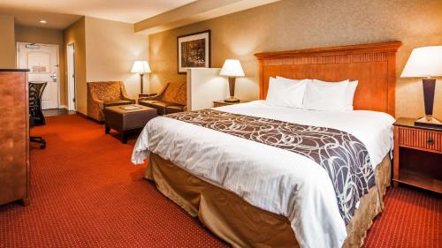 King Suite with Sofa Bed - Non-Smoking