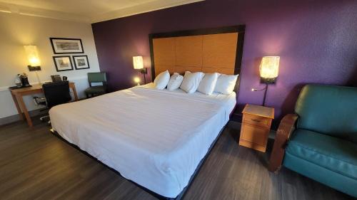 Large Single Room
