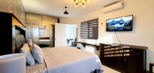 Deluxe Apartment with Terrace