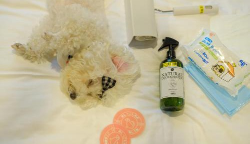 Dog-Friendly - Double Room - Non-Smoking (For One Dog) 