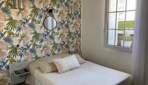Standard Plus Room