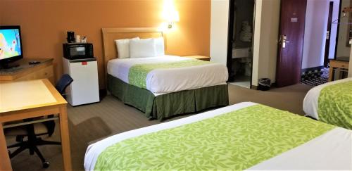 Queen Room with Three Queen Beds
