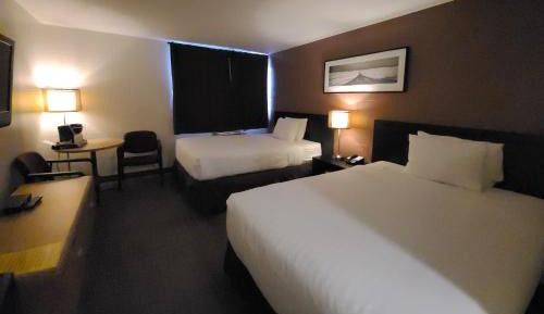 Standard Quadruple Room - Non Pet Friendly