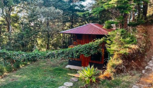 One-Bedroom Chalet