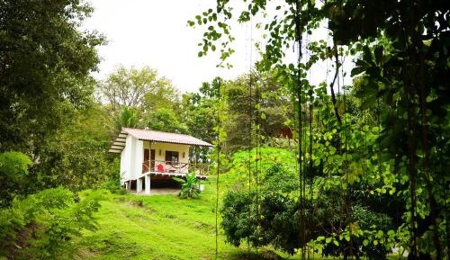 Bungalow with four beds