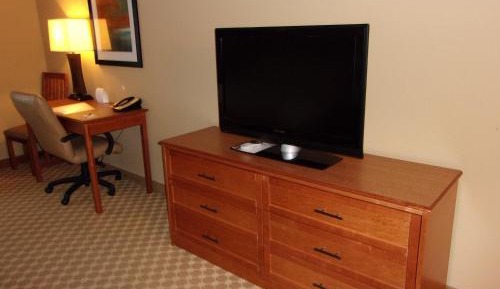 One-Bedroom Suite with Sofa Bed