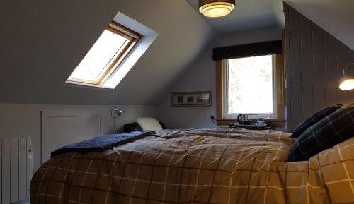 King Room with Garden View