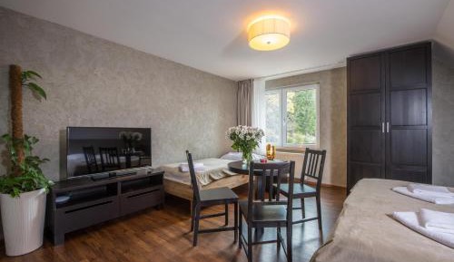 Studio (3 Adults)