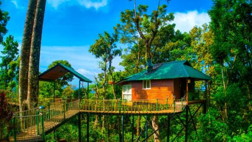 Ayurveda Healing, full board (4 nights min) at Forest Bathing Studio Cottage
