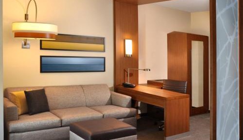 Specialty King Room with Sofa Bed