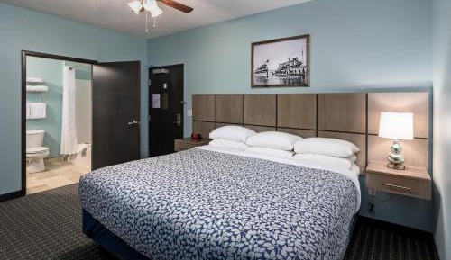 Standard Suite