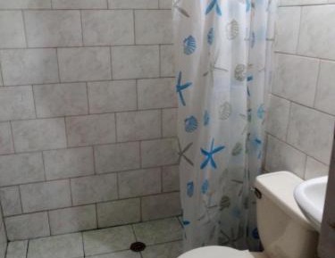 Single Bed in Mixed Dormitory Room