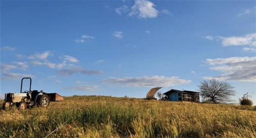 Sternbergia Cabin