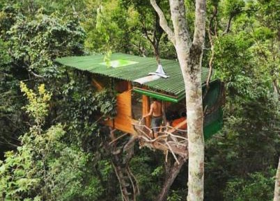 Deluxe Bungalow