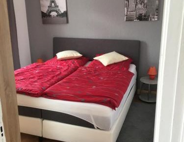 Standard Suite