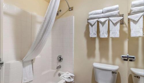 Suite with 1 King Bed and 2 Queen Beds - Non-Smoking Pet Free