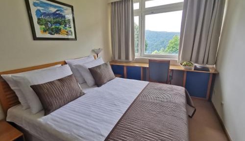 Standard Double Room - Lake Side