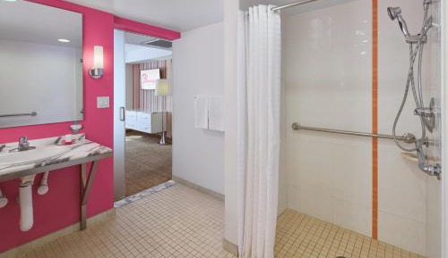 Go Deluxe, 1 King, Non-Smoking, Roll-In Shower