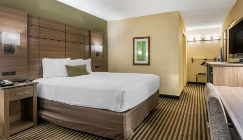 Queen Room with Roll-In Shower - Mobility Accessible/Non-Smoking