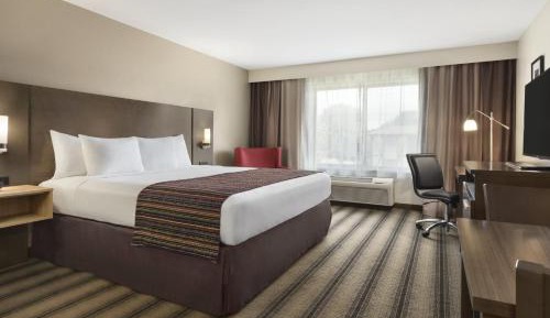 King Room