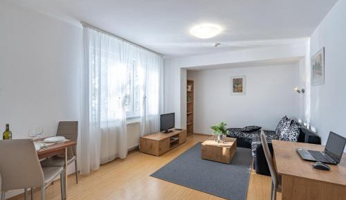One-Bedroom Apartment with Balcony