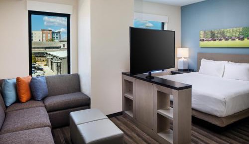 King Studio Suite with Kitchen and Sofa Bed